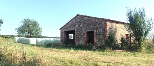 immagine annuncio 8 di 14