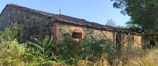 immagine annuncio 10 di 14