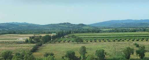 immagine annuncio 12 di 14