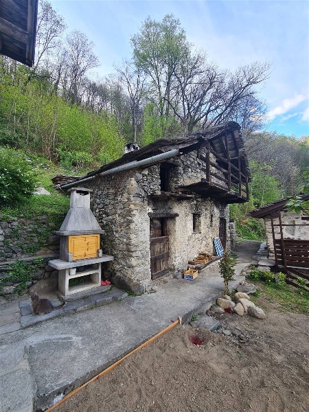 immagine annuncio 1 di 9