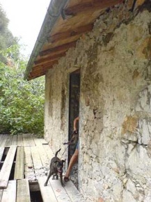 Foto Rustico a Ventimiglia Centro Città di 50 m² con 2 locali in vendita