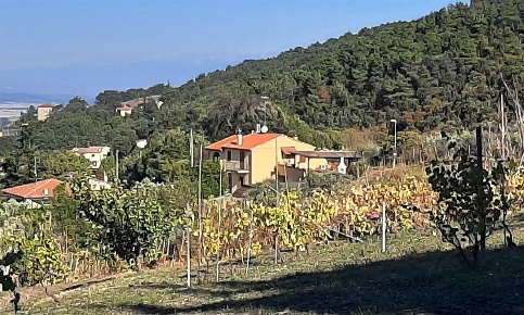 Foto Rustico in Via del Commercio, Castellina Marittima di 170 m²