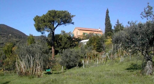 Foto Rustico a Riparbella di 210 m² con 8 locali in vendita