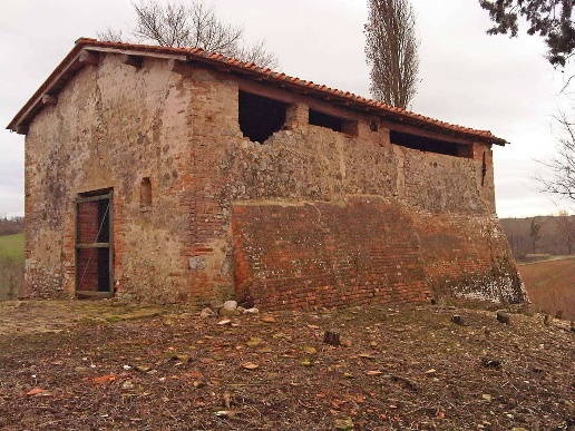 immagine annuncio 11 di 15