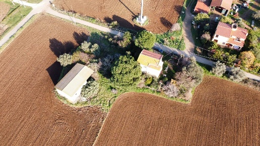 immagine annuncio 5 di 14