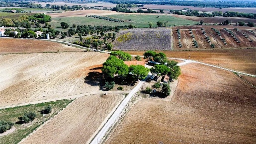Foto Rustico a Roccastrada di 440 m² con 16 locali in vendita