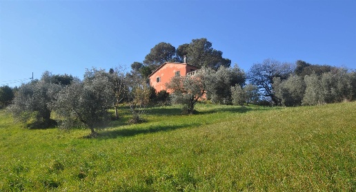 Foto Rustico in Via Traversa Livornese, Rosignano Marittimo di 350 m²