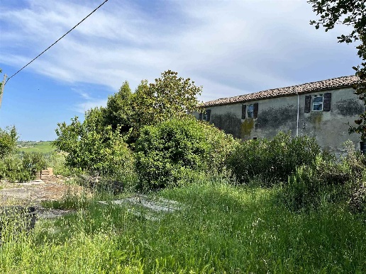 immagine annuncio 3 di 8
