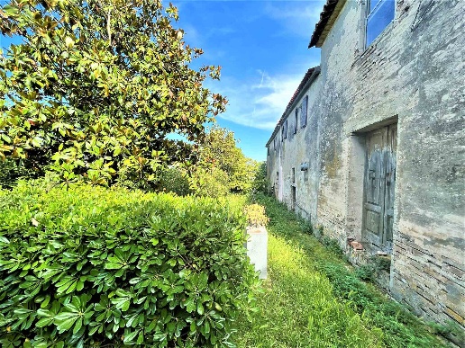 immagine annuncio 4 di 8