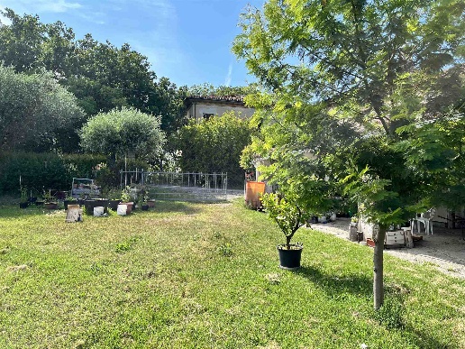 immagine annuncio 7 di 8