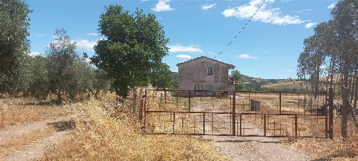 Foto Rustico a Scansano di 160 m² con 6 locali in vendita