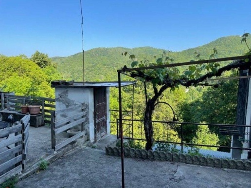 immagine annuncio 6 di 12