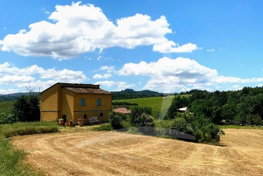 immagine annuncio 10 di 12