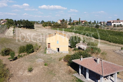 immagine annuncio 6 di 7