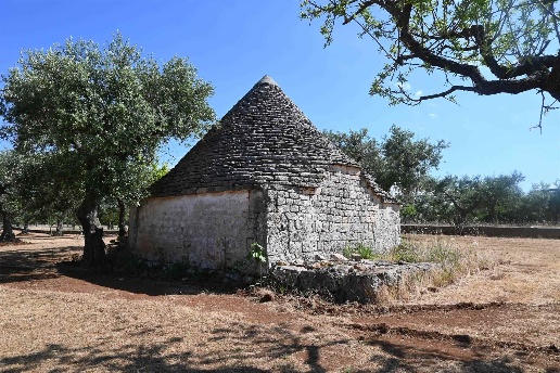 immagine annuncio 3 di 13