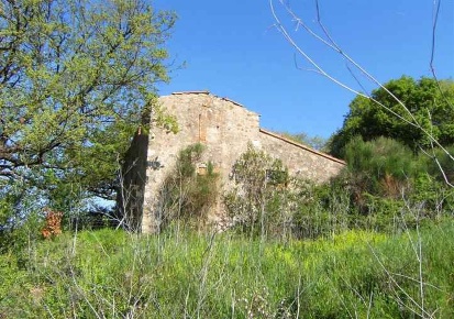 Foto Rustico in Strada Provinciale 329, Monteverdi Marittimo Centro