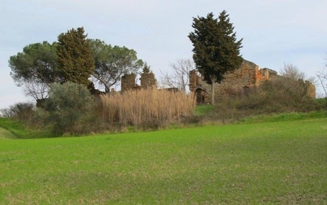 Foto Rustico in Strada Provinciale del Monte Volterrano, Volterra