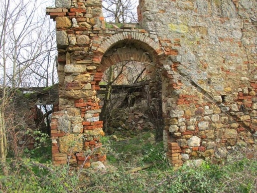 immagine annuncio 3 di 14