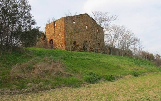 immagine annuncio 7 di 14