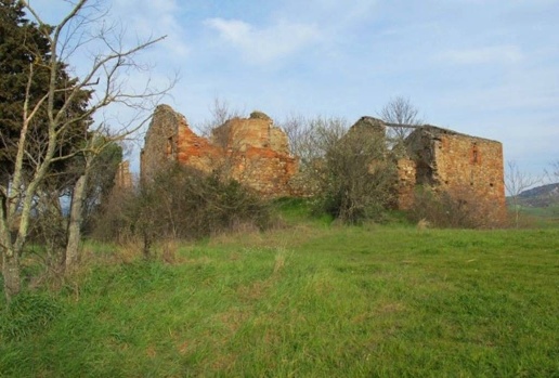 immagine annuncio 9 di 14