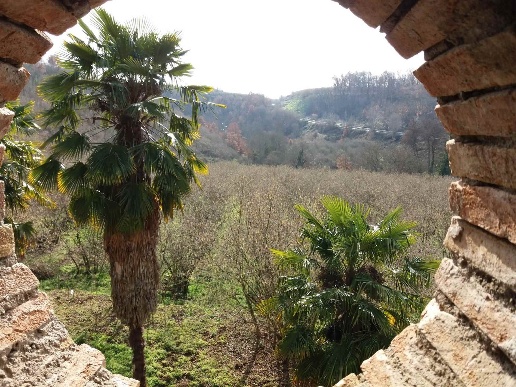 immagine annuncio 4 di 12