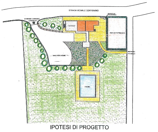 immagine annuncio 11 di 12