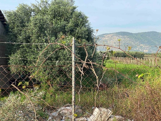 immagine annuncio 4 di 6