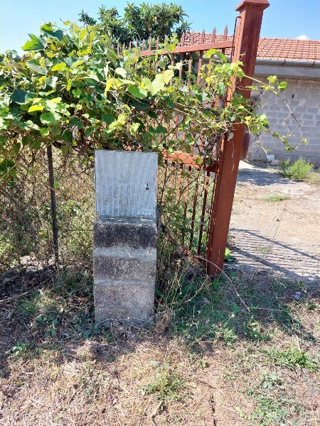 immagine annuncio 5 di 6