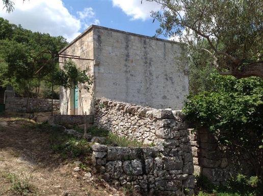 immagine annuncio 2 di 13