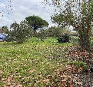 Foto Rustico a Pisa Coltano - Le Rene di 500 m² con 22 locali in vendita