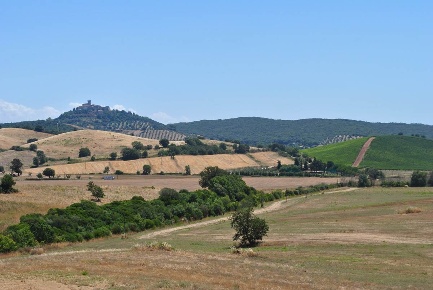 Foto Rustico a Capalbio di 443 m² con 12 locali in vendita