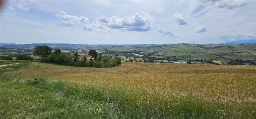 Foto Rustico a San Severino Marche Centro di 375 m² con 6 locali in vendita