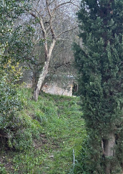 immagine annuncio 11 di 14