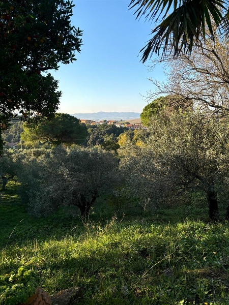 immagine annuncio 13 di 14