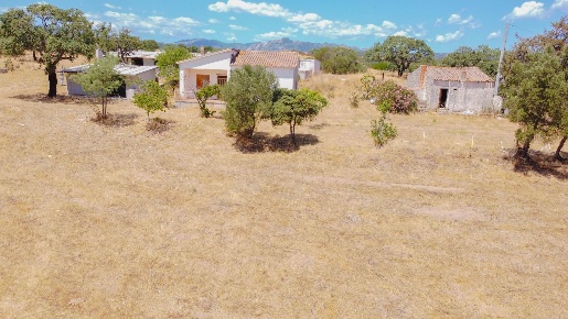 Foto Rustico in ss127, Telti di 124 m² con 6 locali in vendita
