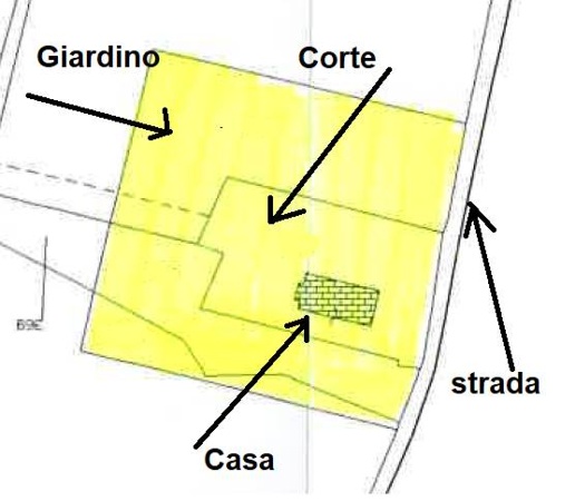 immagine annuncio 5 di 6
