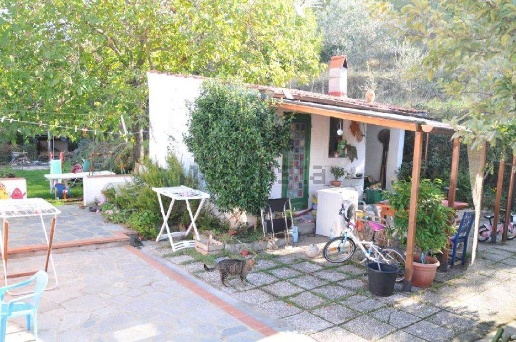 immagine annuncio 3 di 14