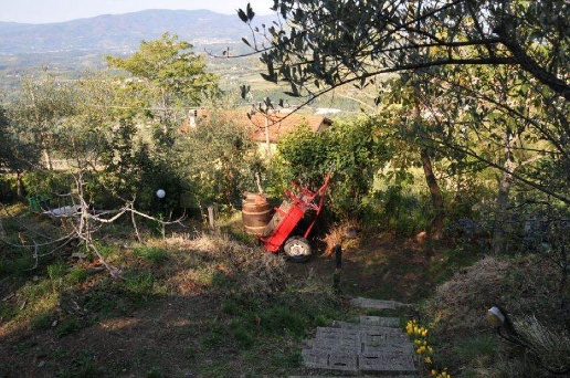 immagine annuncio 4 di 14