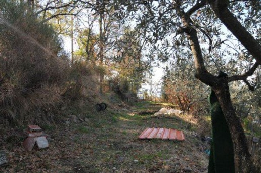 immagine annuncio 10 di 14