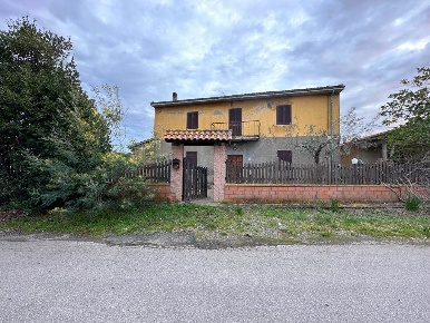 Foto Rustico a Bibbona di 275 m² con 10 locali in vendita