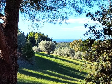 Foto Rustico a Casale Marittimo di 270 m² con 7 locali in vendita