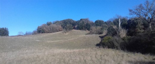 Foto Rustico in località Il Poggio, Pomarance di 180 m² con 9 locali