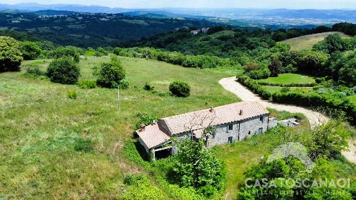 Foto Rustico a Scansano di 250 m² con 17 locali in vendita