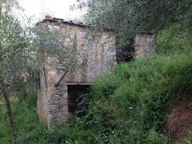 Foto Rustico a Camaiore Camaiore Paese di 45 m² con 3 locali in vendita