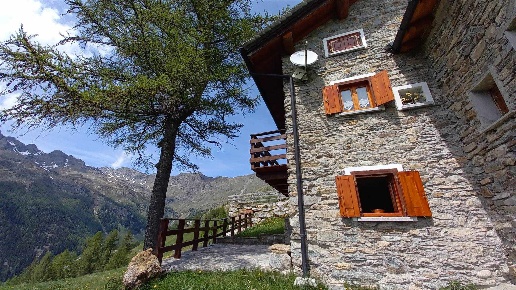 immagine annuncio 2 di 15