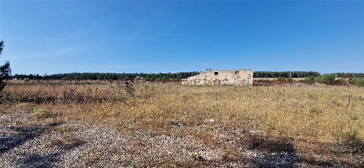 Foto Rustico a Altamura di 200 m² con 4 locali in vendita