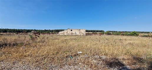 immagine annuncio 1 di 2