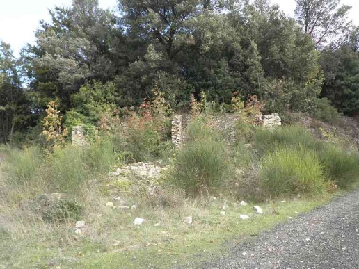 immagine annuncio 2 di 12