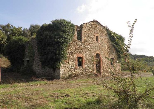 immagine annuncio 4 di 12