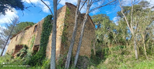 Foto Rustico a Riparbella di 260 m² con 10 locali in vendita